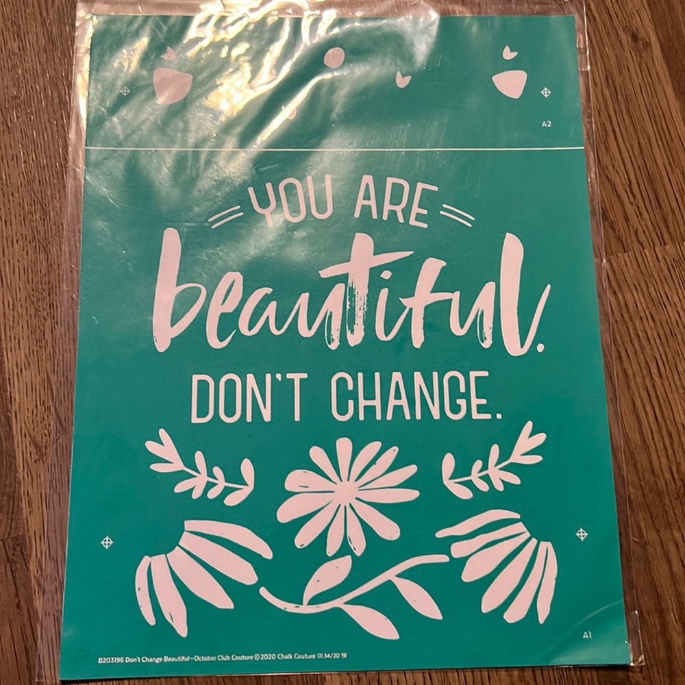 "Don't Change Beautiful" Chalk Couture Transfer Size B